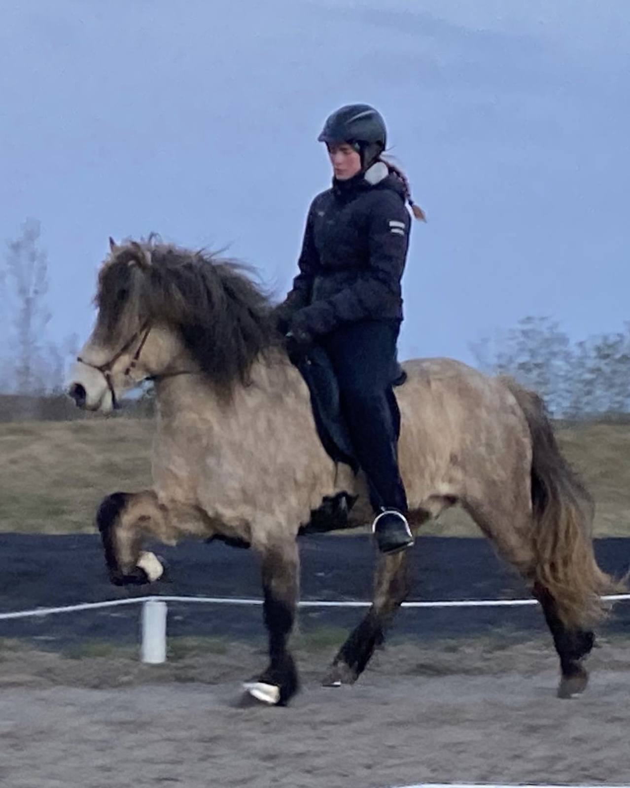 Benedicte trener islandshest