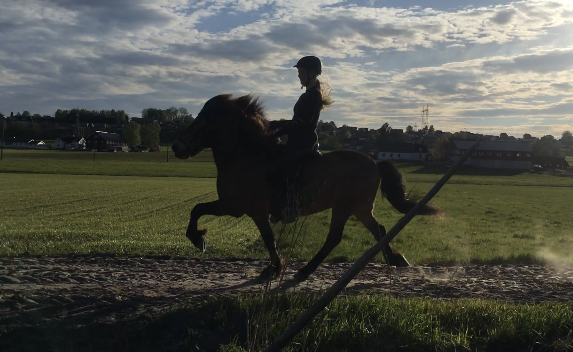 Benedicte trener islandshest