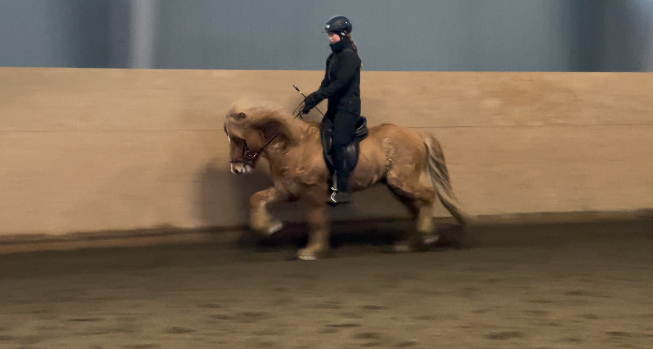 Benedicte trener islandshest