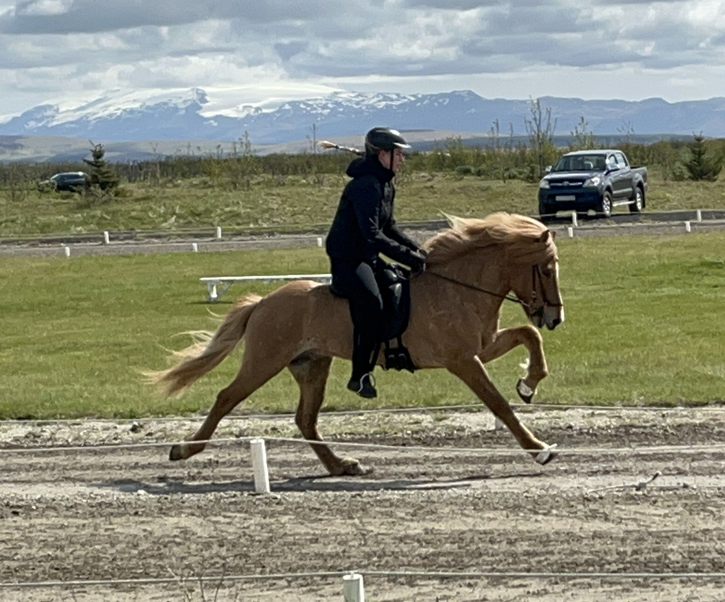 Benedicte trener islandshest