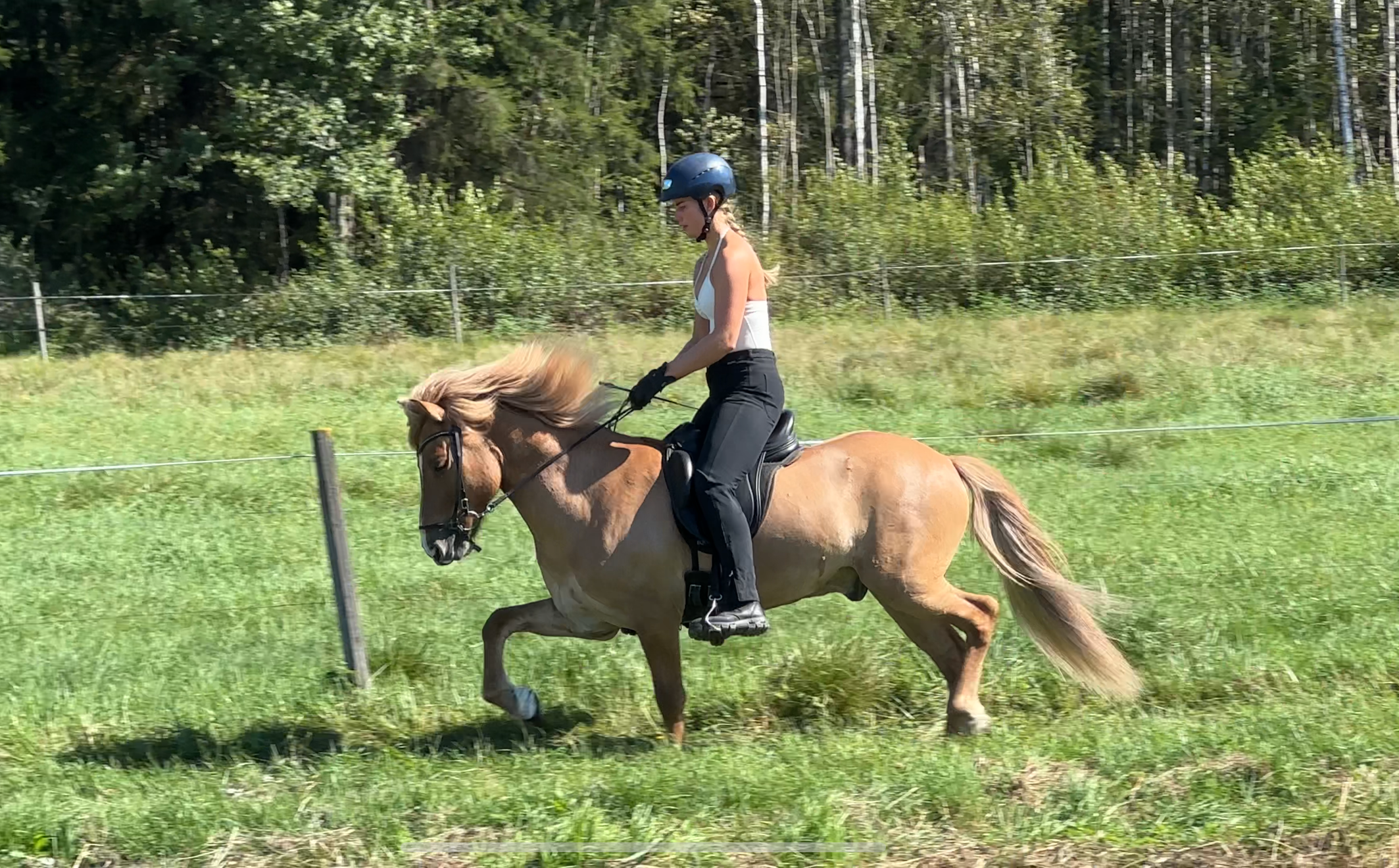 Benedicte trener islandshest