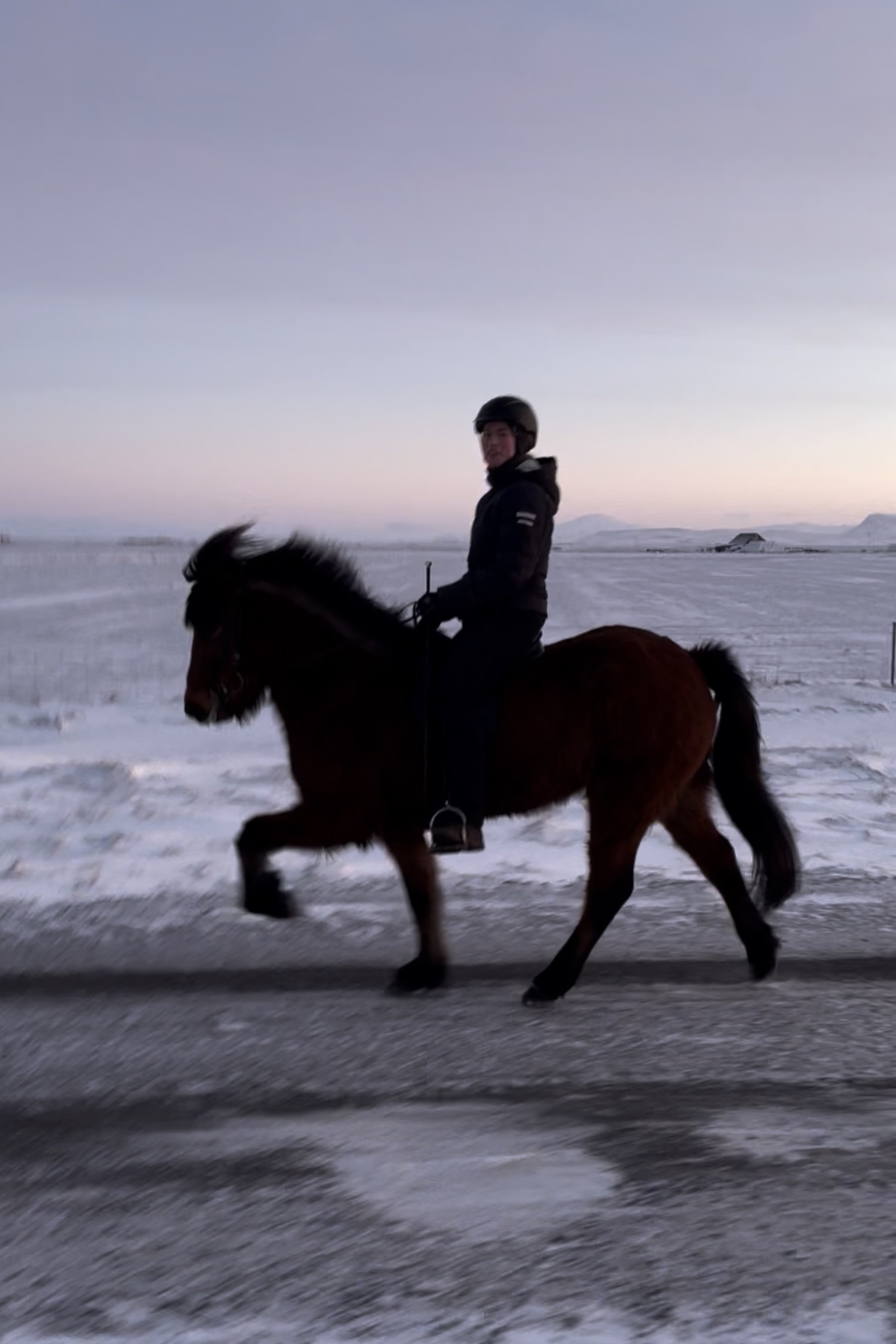 Benedicte trener islandshest